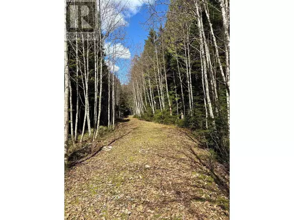 Terrace, BC V8G0B5,4962 MERKLEY ROAD