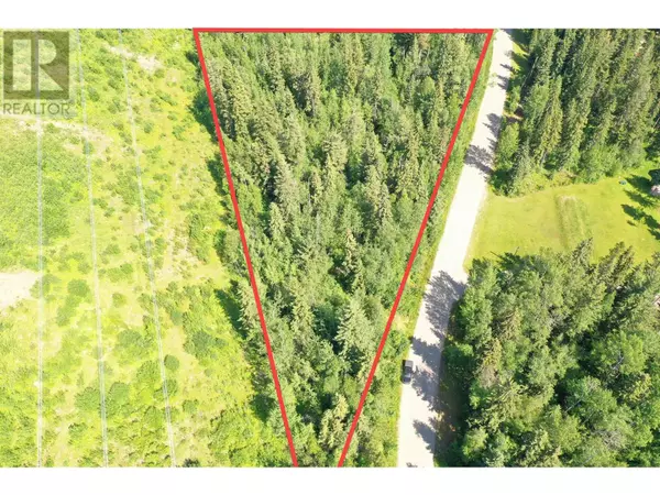 Quesnel, BC V2J6X2,LOT 1 TEN MILE LAKE ROAD