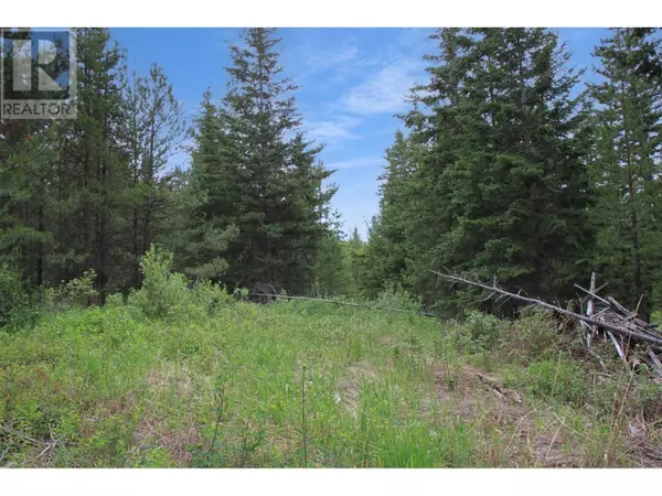 Bridge Lake, BC V0K1E0,LOT 17 BROWN RD #PROP