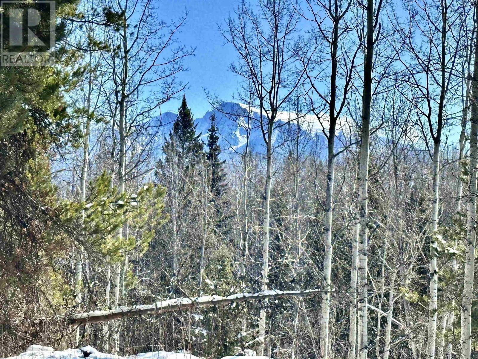 Valemount, BC V0E2Z0,3840 BRYAN RD #LOT A