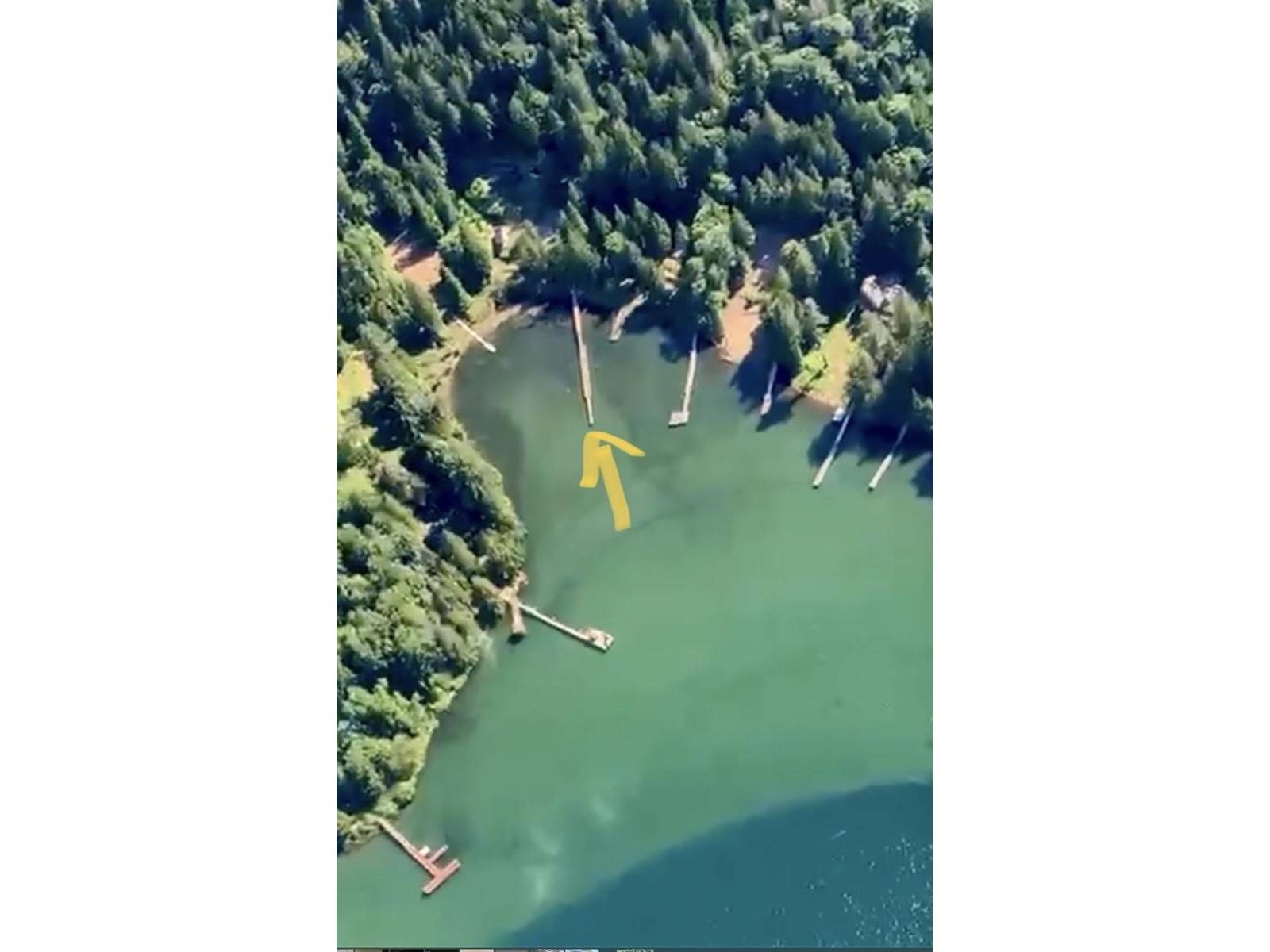 Harrison Hot Springs, BC V0M1K0,LOT 3 HARRISON RIVER|Mt Woodside