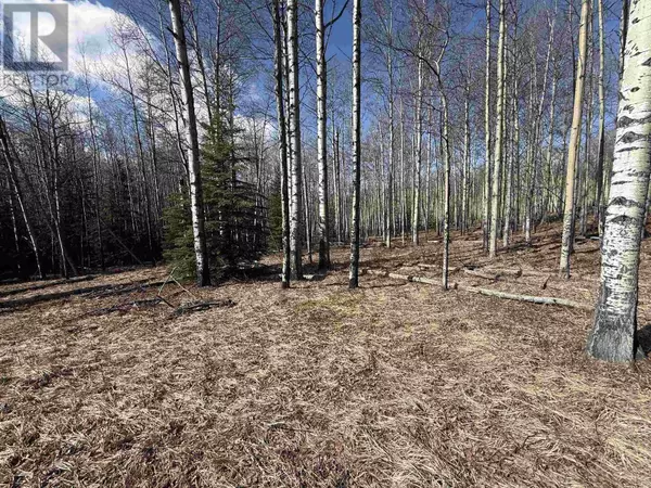 Hudsons Hope, BC V0C1V0,LOT 17 ASPEN RIDGE DRIVE