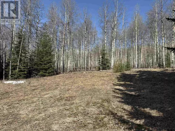 Hudsons Hope, BC V0C1V0,LOT 17 ASPEN RIDGE DRIVE