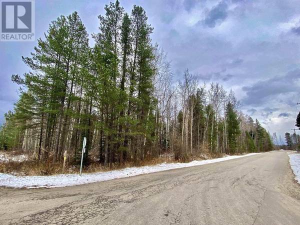 Valemount, BC V0E2Z0,LOT 10 17TH AVENUE