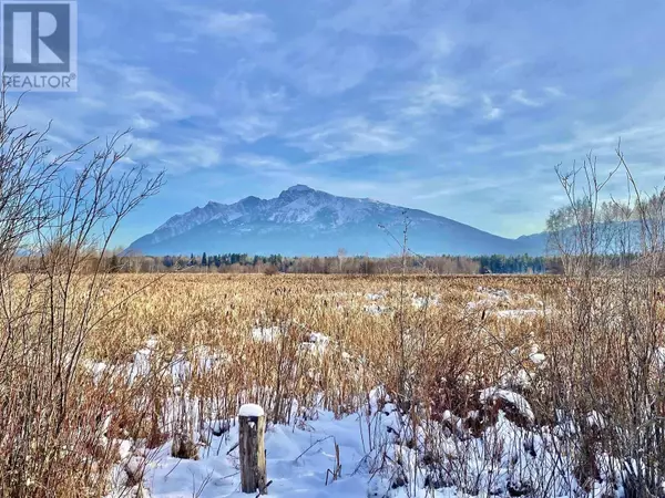 Valemount, BC V0E2Z0,LOT 10 17TH AVENUE