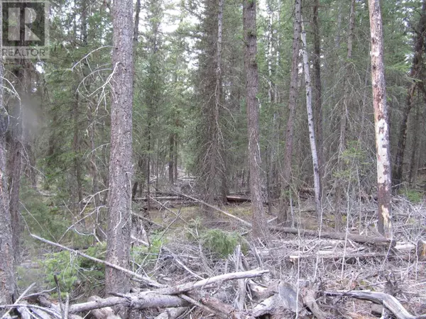 Horse Lake, BC V0K1X3,6511 HORSE LAKE ROAD