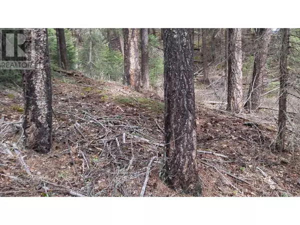 Canim Lake, BC V0K1J0,Lot 3 SUMMIT ROAD