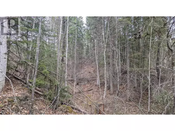 100 Mile House, BC V0K1J0,12 SUMMIT RD #LOT