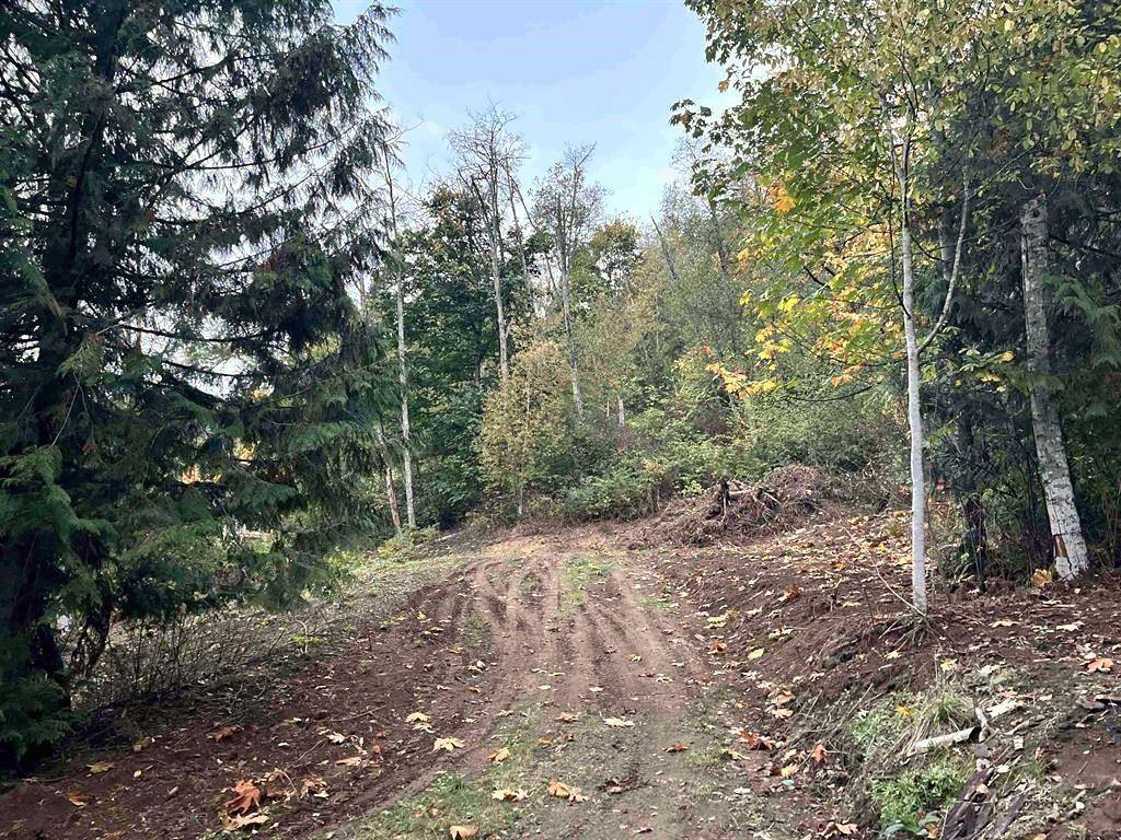Chilliwack, BC V4Z1G7,48875 ELK VIEW ROAD|Ryder Lake