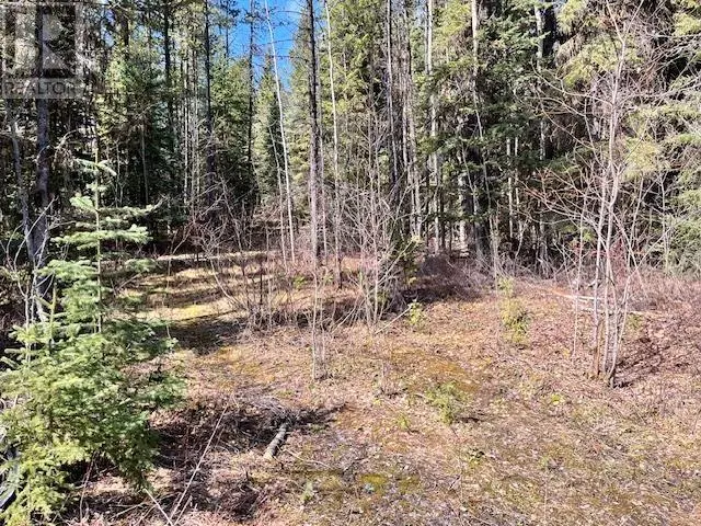 4 POLLARD RD #LOT, Quesnel, BC V2J6X5