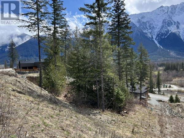 Pemberton, BC V0N2L3,7677 CERULEAN DRIVE