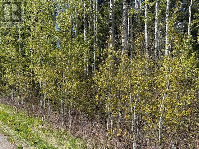 LOT 26 BOULTBEE ROAD, Bridge Lake, BC V0K1E0