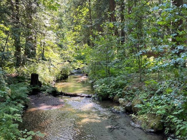 Hope, BC V0X1L2,19743 FOSTER RD #15