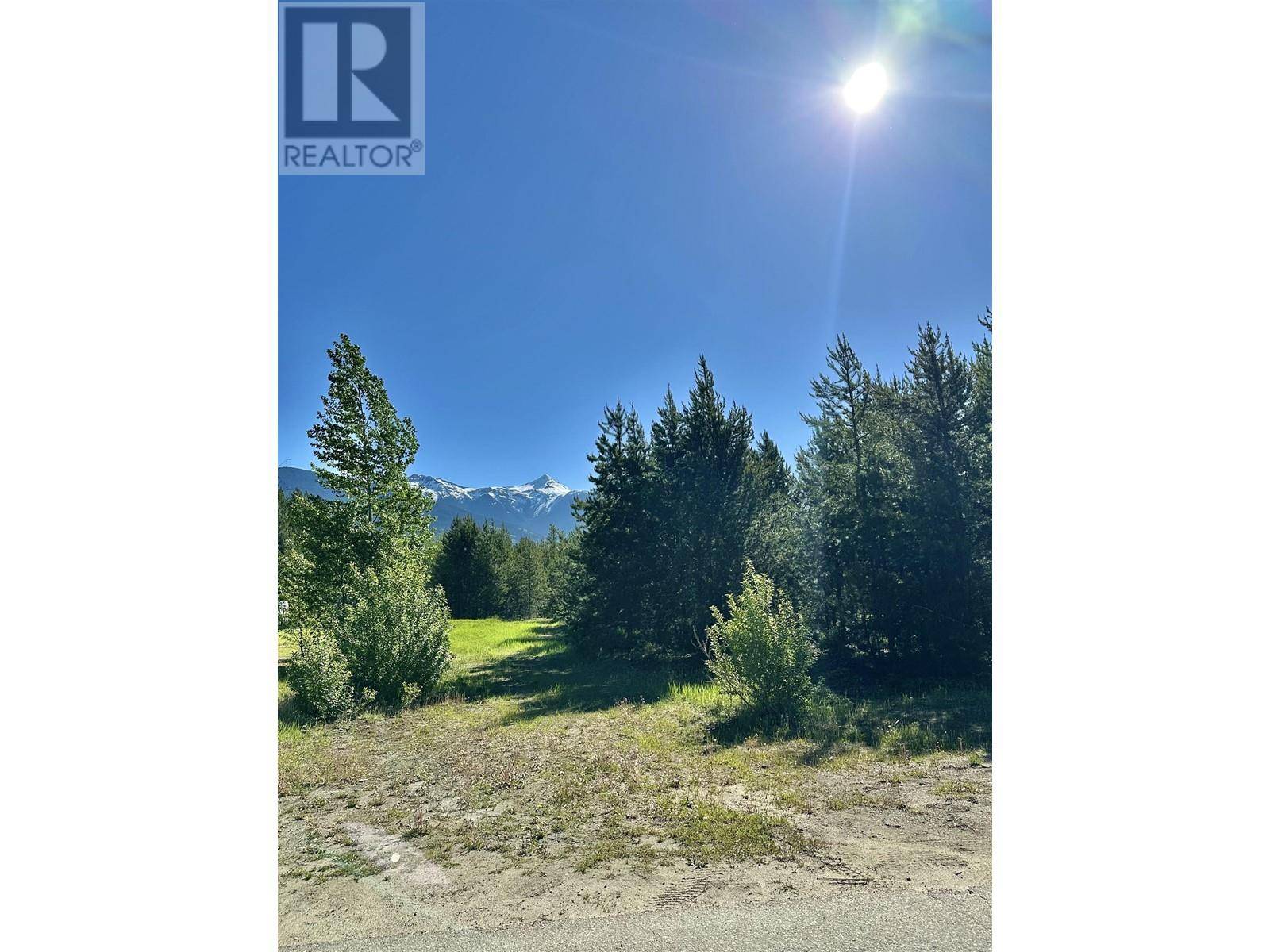 Valemount, BC V0E2Z0,1923 CRANBERRY PLACE