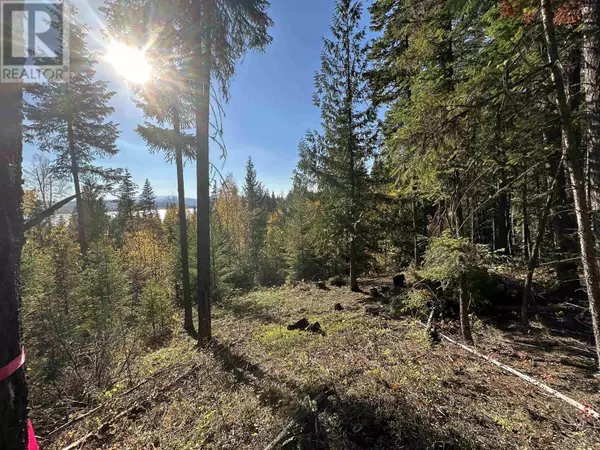 Canim Lake, BC V4A3J2,42 HOOVER BAY RD #LOT
