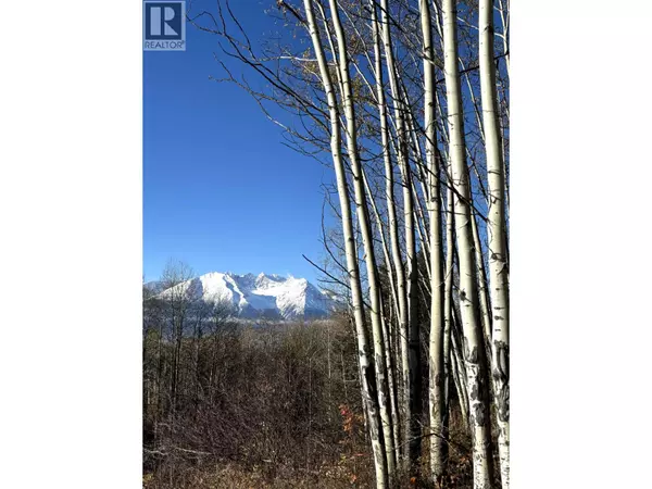 9410 ADAMS ROAD, Smithers, BC V0J2N0