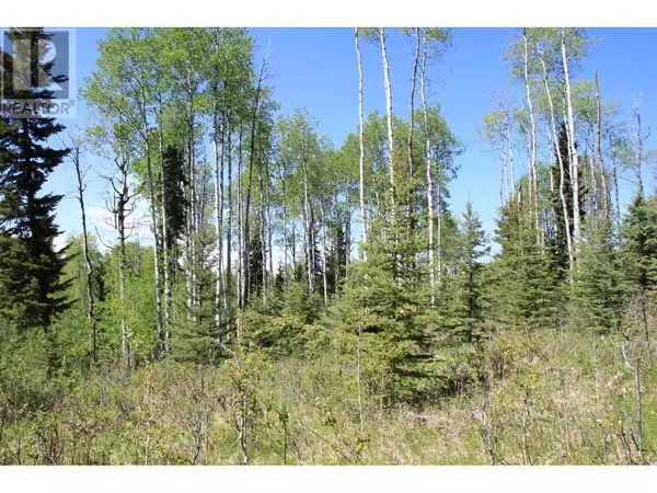 Bridge Lake, BC V0K1E0,Lot 21 BROWN RD #PROP