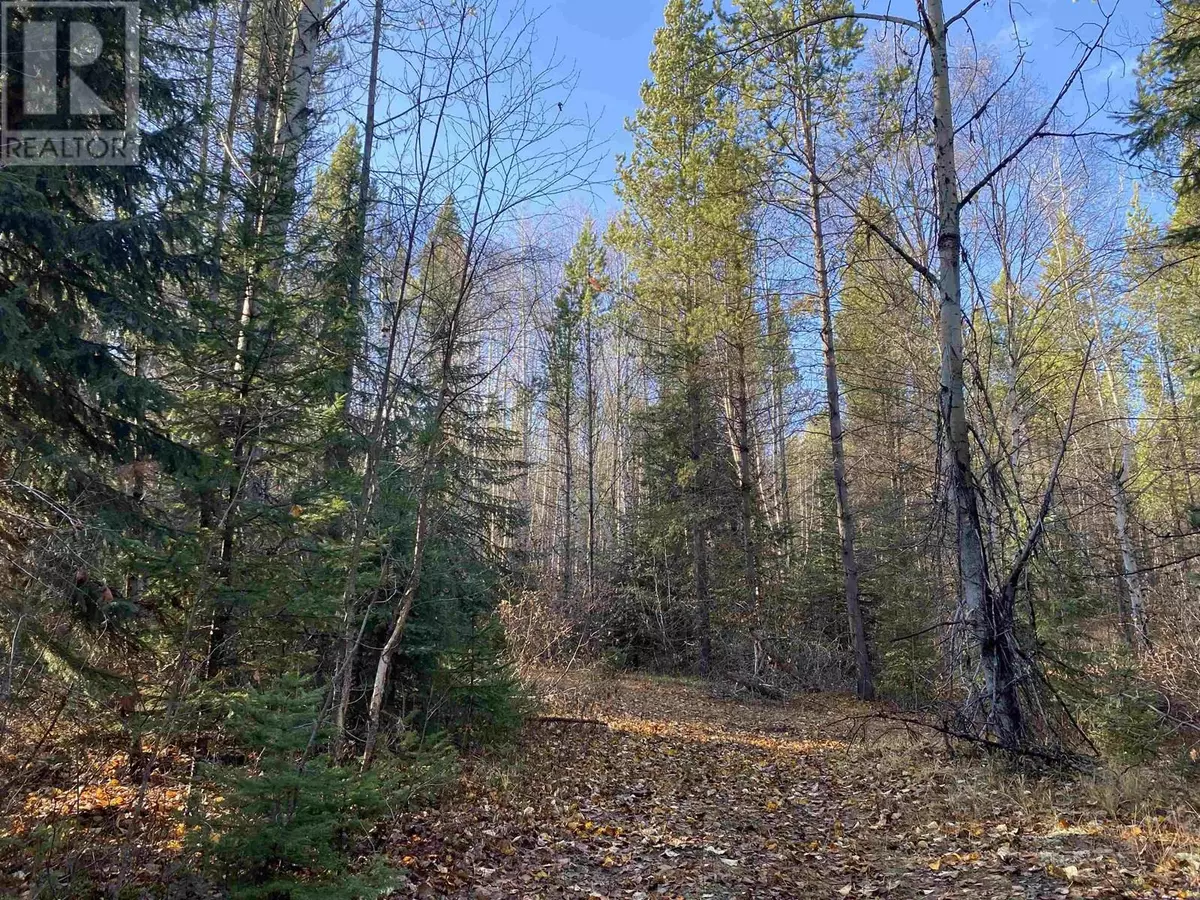 Valemount, BC V0E2Z0,7363 CRANBERRY LAKE RD #DL