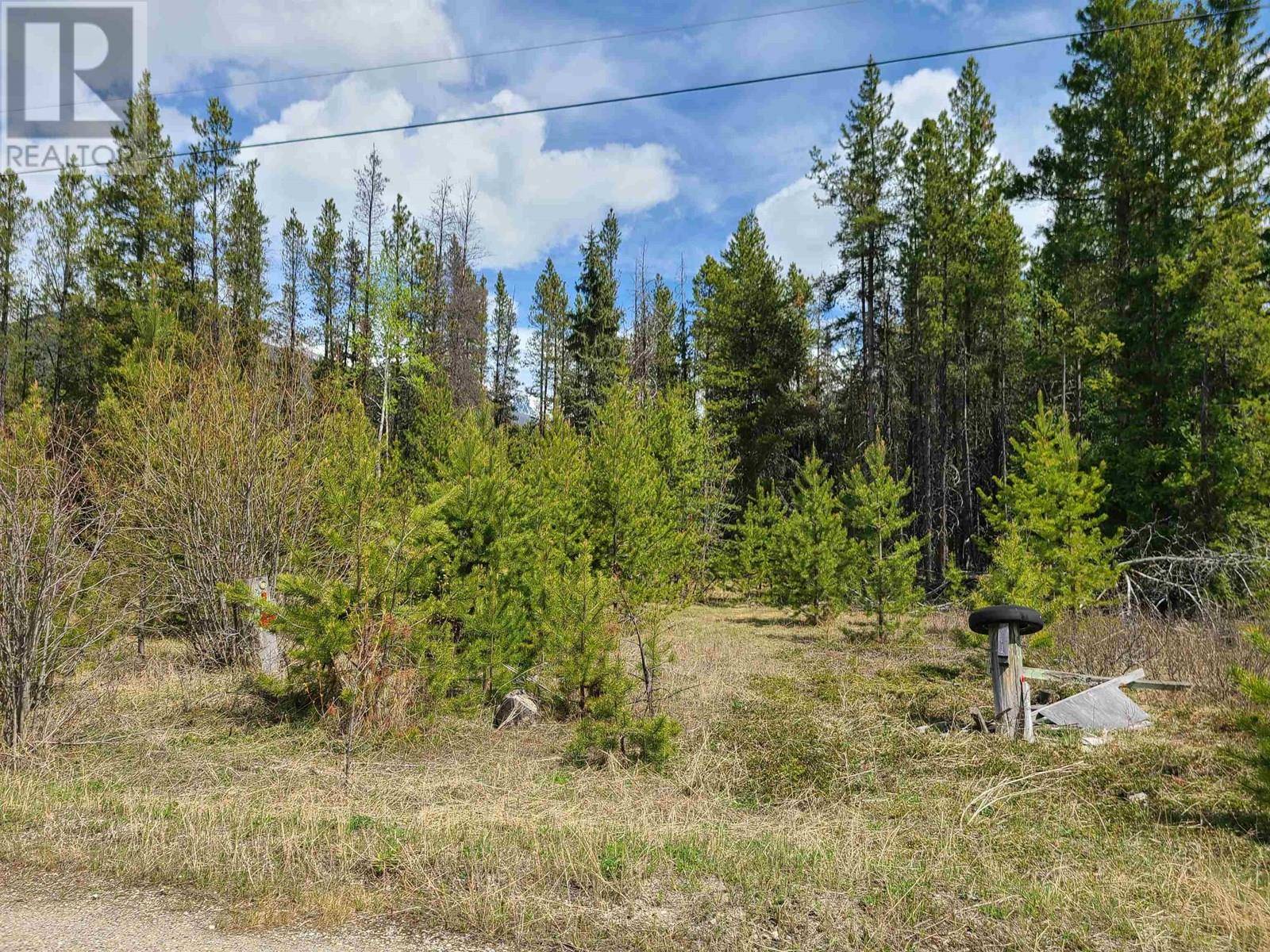 2300 MAIN STREET, Valemount, BC V0E2Z0