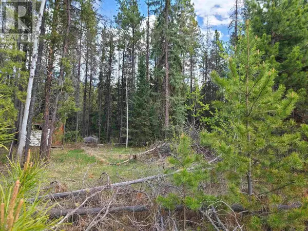 Valemount, BC V0E2Z0,2300 MAIN STREET