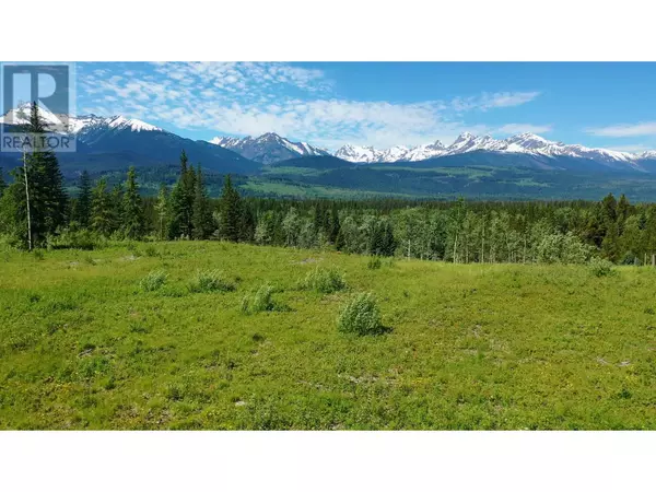 Valemount, BC V0E2Z0,LOT 3 O'DWYER ROAD
