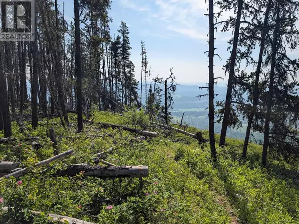 Smithers, BC V0J2N2,6 HUDSON BAY MOUNTAIN RD #LOT