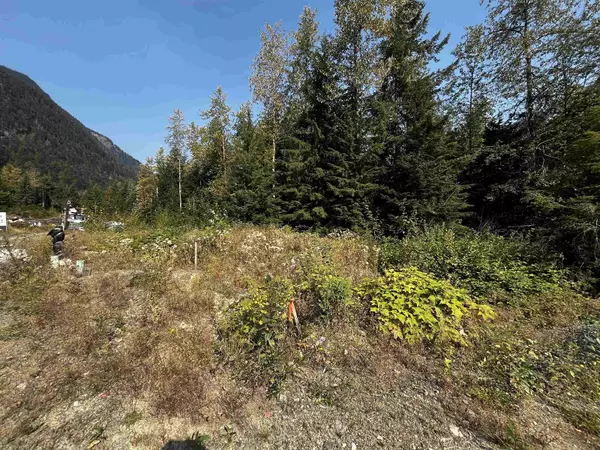 SVE39 OLD HOPE PRINCETON HIGHWAY|Sunshine Valley, Sunshine Valley, BC V0X1L5