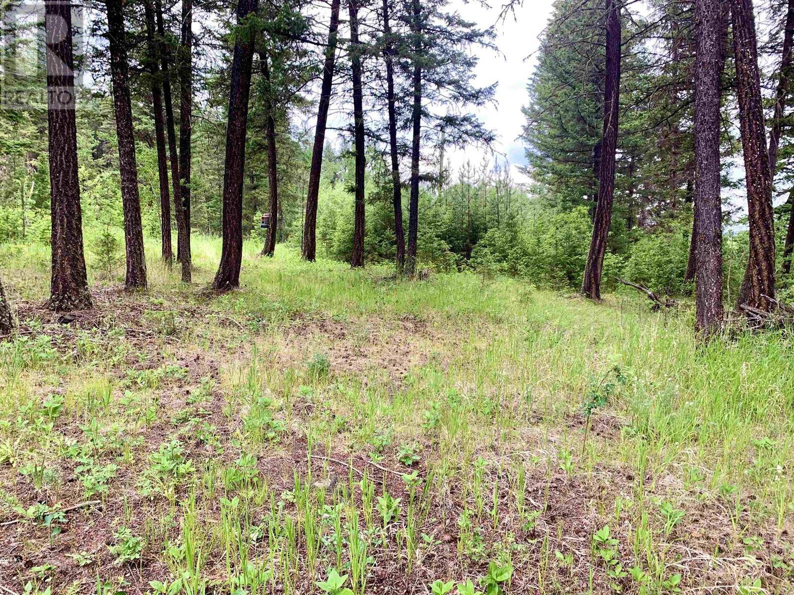 Lac La Hache, BC V0K1T1,3340 WRIGHT STATION ROAD