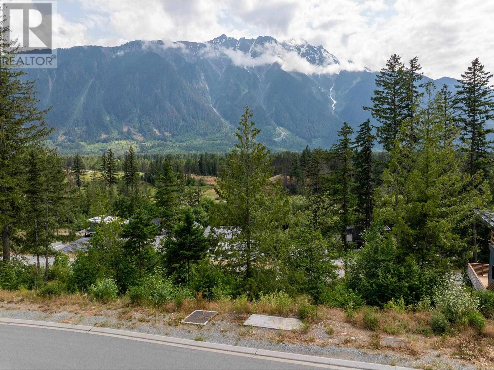Pemberton, BC V0N2L3,7661 CERULEAN DRIVE