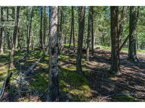 108 Mile Ranch, BC V0K2Z0,LOT 23 BLOCK DRIVE