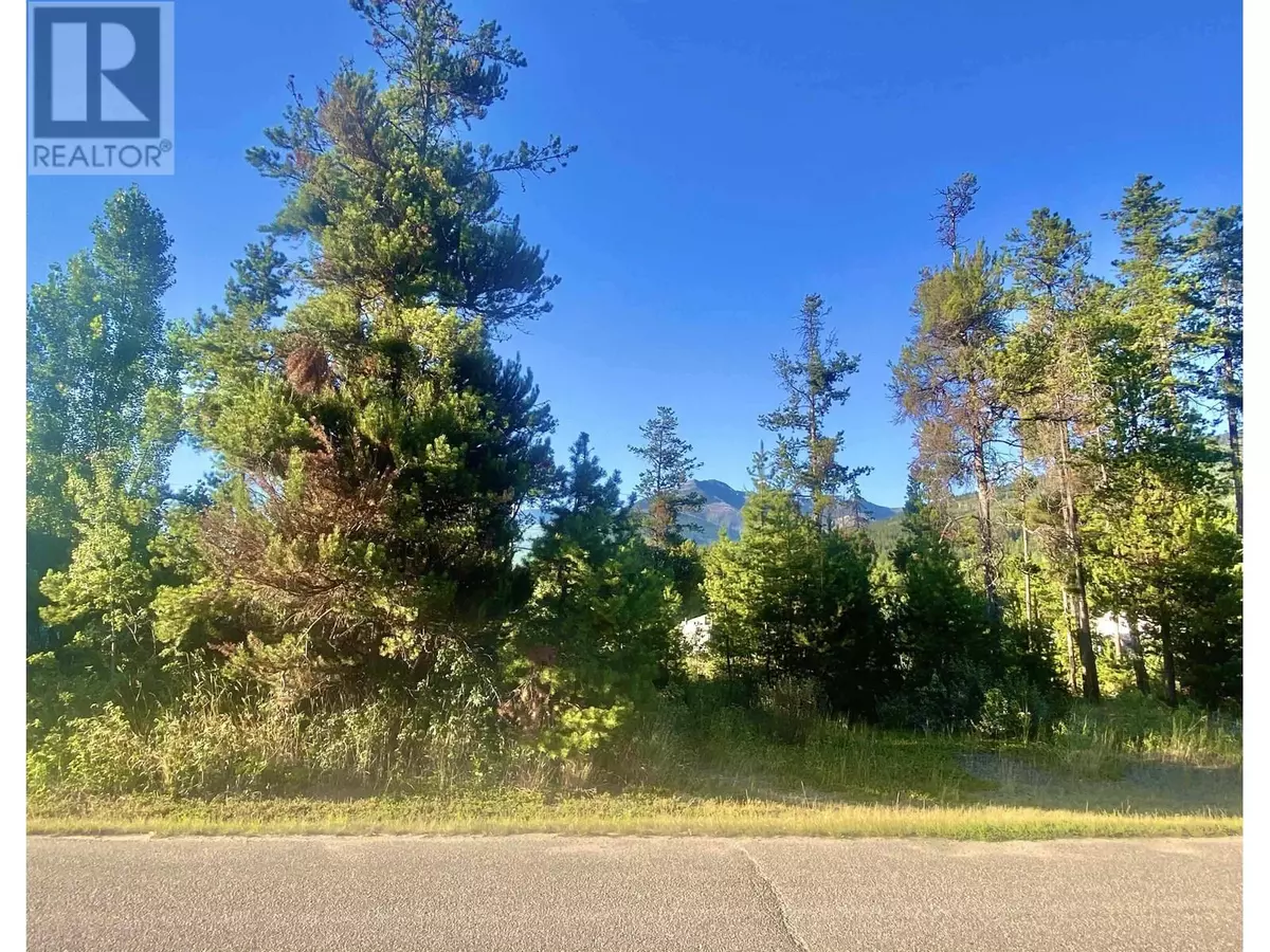 Valemount, BC V0E2Z0,1060 6TH AVENUE