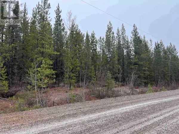 Prince George, BC V0J3A3,LOT 65 ROBERTSON ROAD