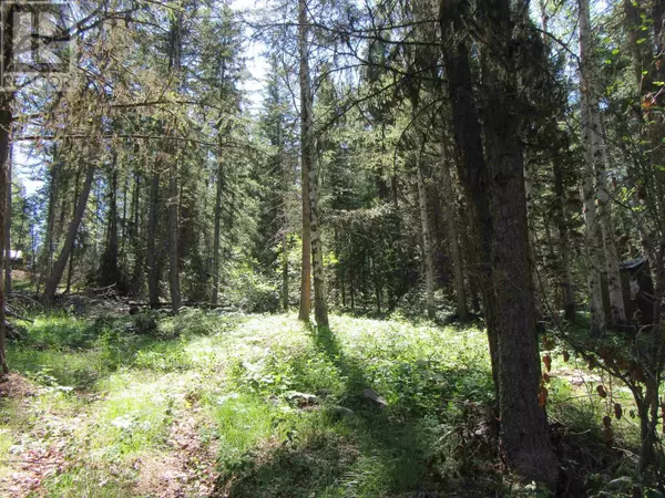100 Mile House, BC V0K1X3,LOT 194 BERGSTROM ROAD