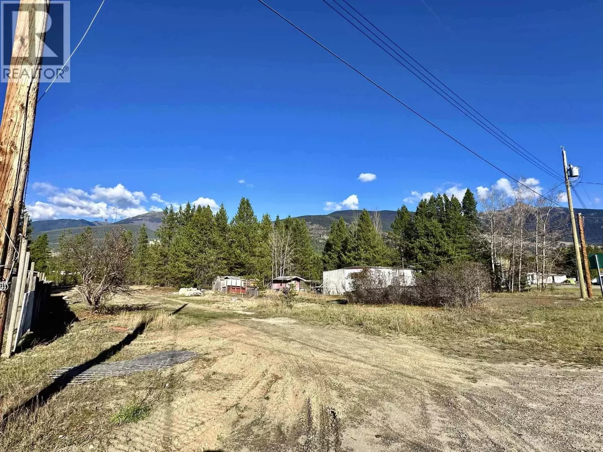 Valemount, BC V0E2Z0,1036 14TH AVENUE