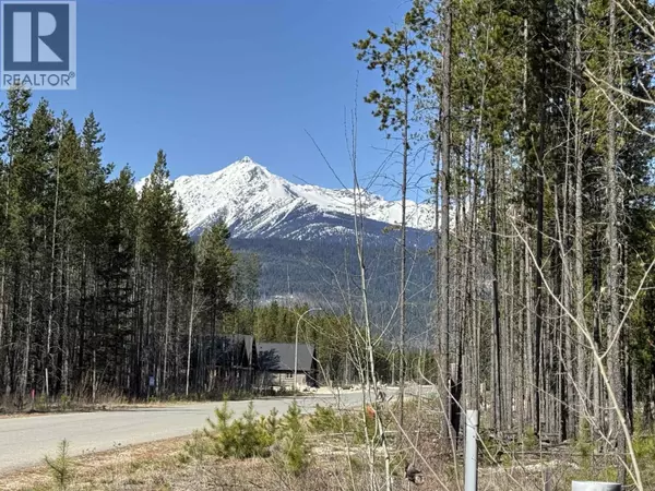 Valemount, BC V0E2Z0,1030 18TH AVENUE