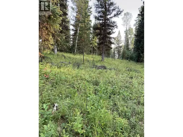 Prince George, BC V2N6V2,8120 GISCOME ROAD