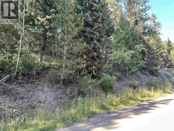 Deka Lake / Sulphurous / Hathaway Lakes, BC V0K1X3,LOT 103 JULSRUD ROAD