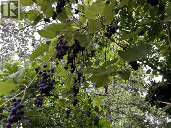 Port Coquitlam, BC V3C1G7,1455 FLORA PLACE