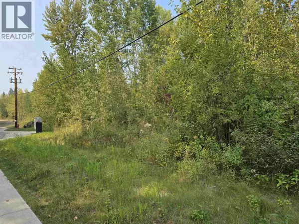 Quesnel, BC V2J6A9,LOT 14 DAWSON STREET