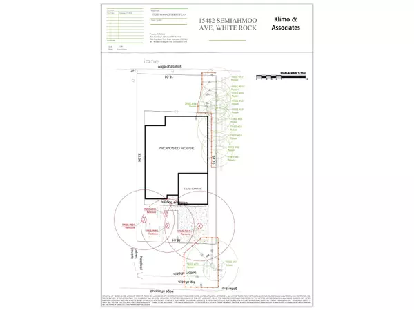 White Rock, BC V4B1T8,15482 SEMIAHMOO AVENUE