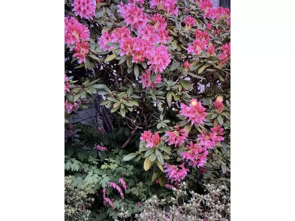 Harrison Hot Springs, BC V0M1L0,356 CHESTNUT AVENUE|Harrison Hot Springs