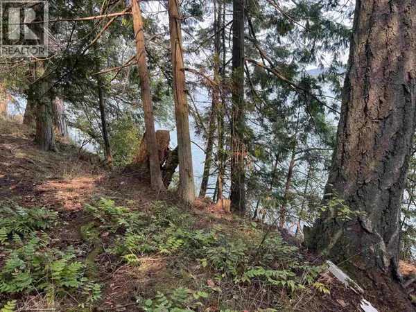 Salt Spring Island, BC V0V0V0,NORTH END RD #LOT 2