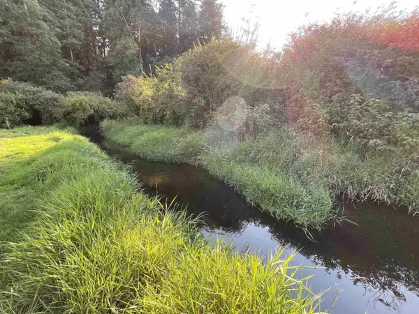 Surrey, BC V3S9R5,17384 8 AVENUE