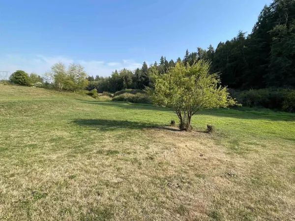 Surrey, BC V3S9R5,17384 8 AVENUE