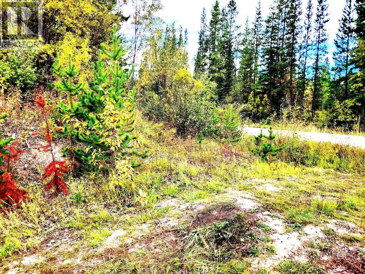 Fort St. James, BC V0J1P0,962 27 HWY #DL