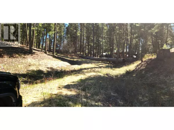 108 Mile Ranch, BC V0K2Z0,LOT 46 KALLUM DRIVE