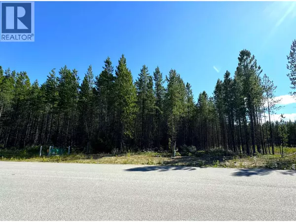 Valemount, BC V2G1Z6,1285 FOWLER PLACE