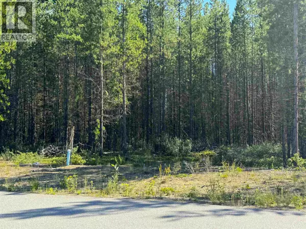 Valemount, BC V2G1Z6,1285 FOWLER PLACE