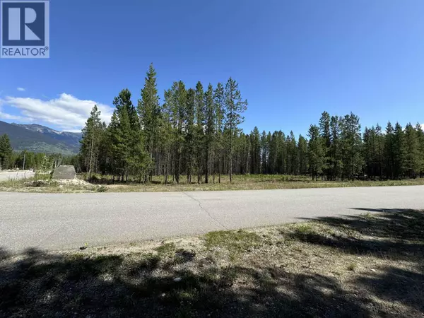 Valemount, BC V2G1Z6,1295 FOWLER PLACE