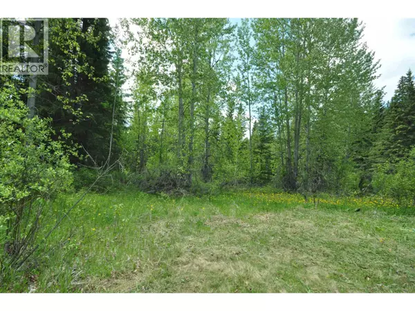 Williams Lake, BC V0L1L0,5065 CAVE ROAD